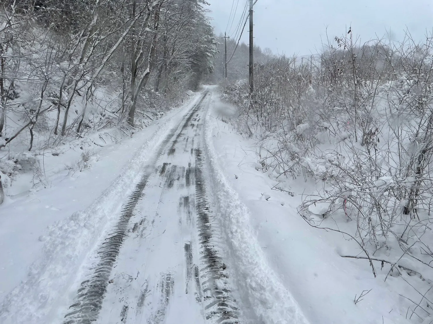 除雪された通路