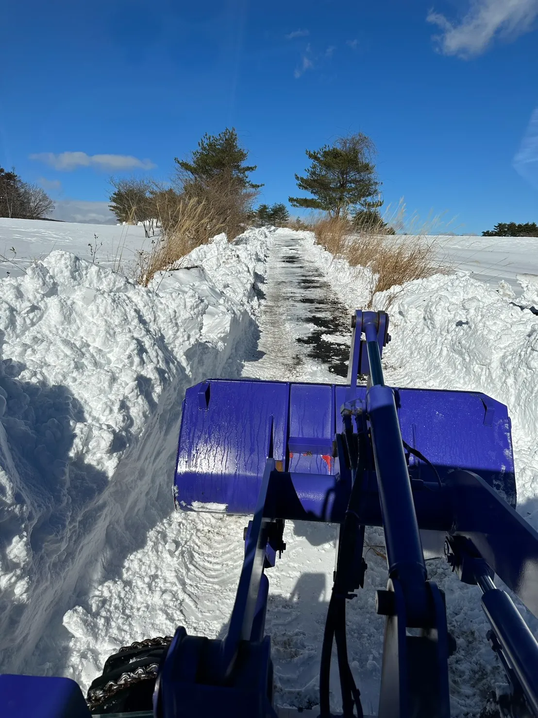 青い除雪車